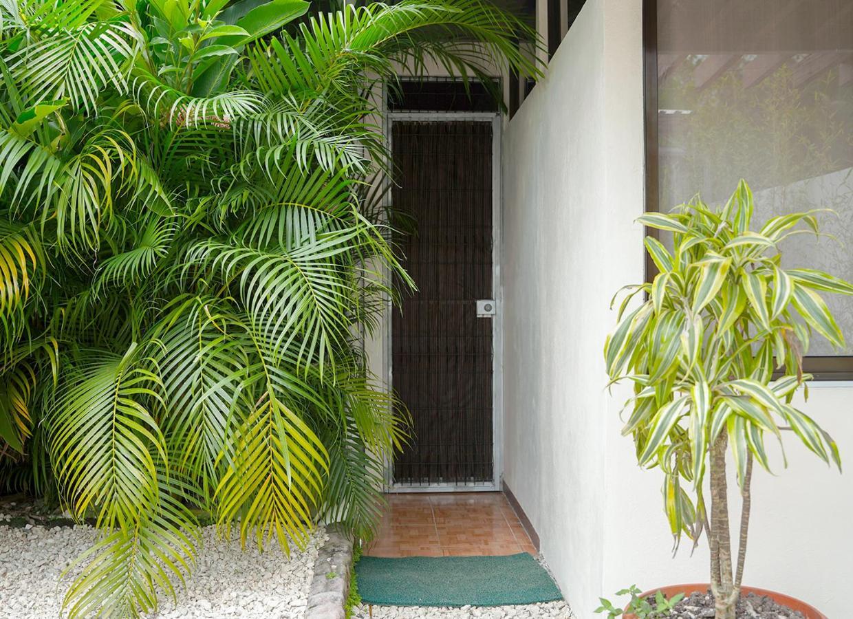 Apartamentos Y Studios Brisas Del Mar Santa Teresa Playa Santa Teresa  Exterior foto